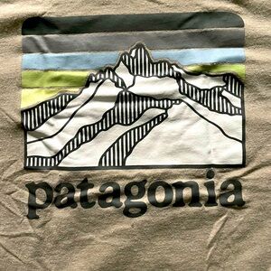 Men’s Patagonia shirt